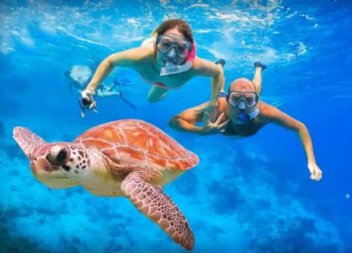 Abu Dabbab – Plage des Tortues