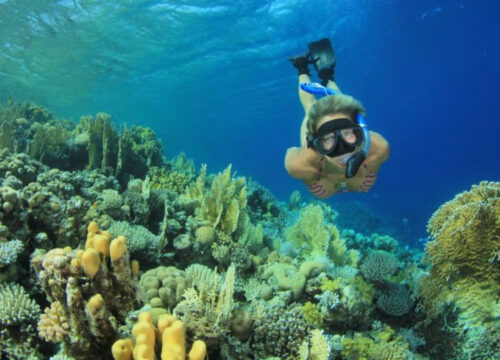 Coral Garden – Excursion snorkeling