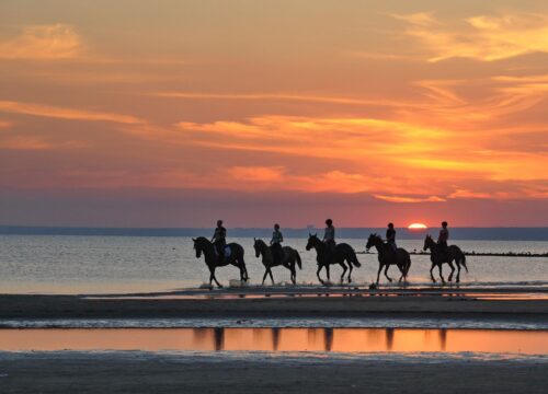 Balade à Cheval – Plage & Désert